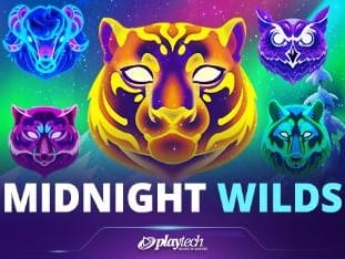Midnight Wilds game thumbnail