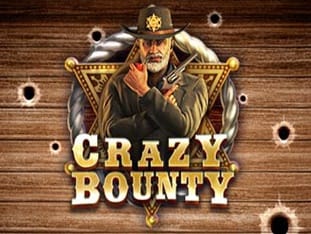 Crazy Bounty game thumbnail