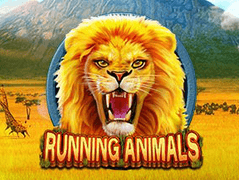 Running Animals game thumbnail