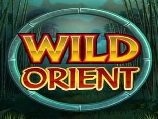 Wild Orient game thumbnail